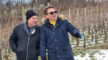 Vincekovo brez meja 17